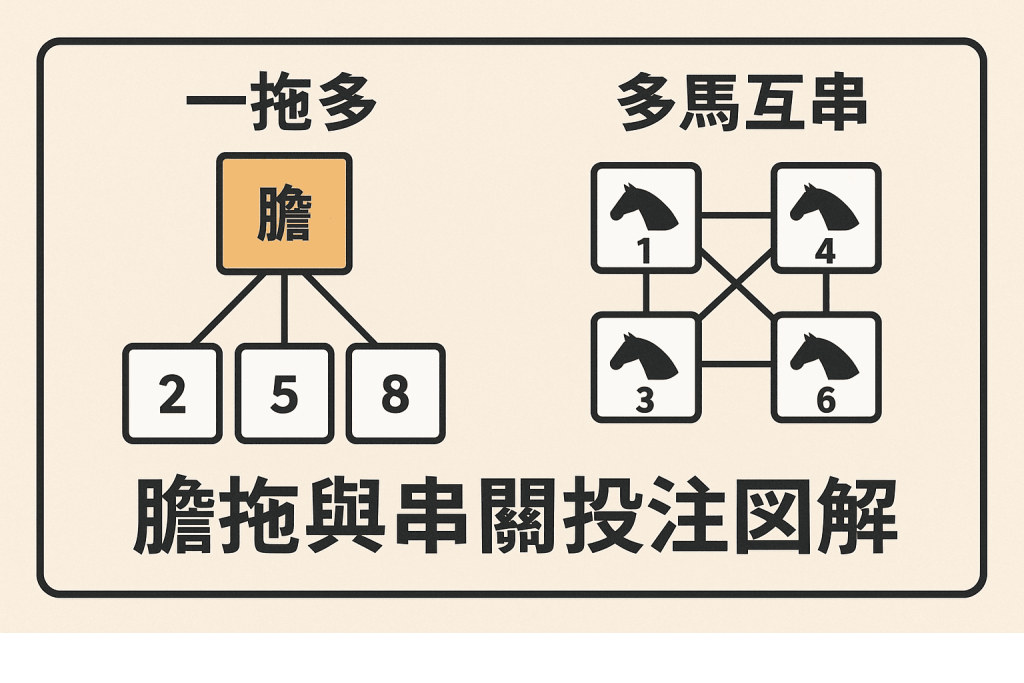 膽拖與串關投注圖解